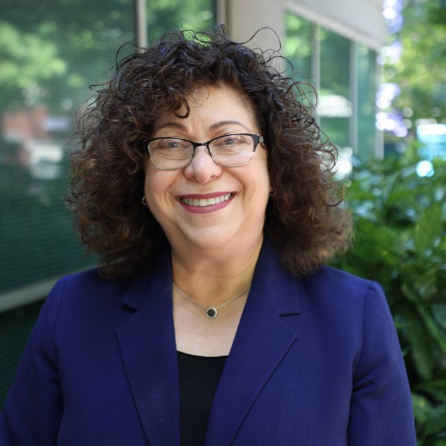 Headshot of Lisa M. Koonin, DrPH, MN, MPH